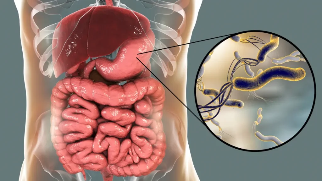 Coproanálisis (3)