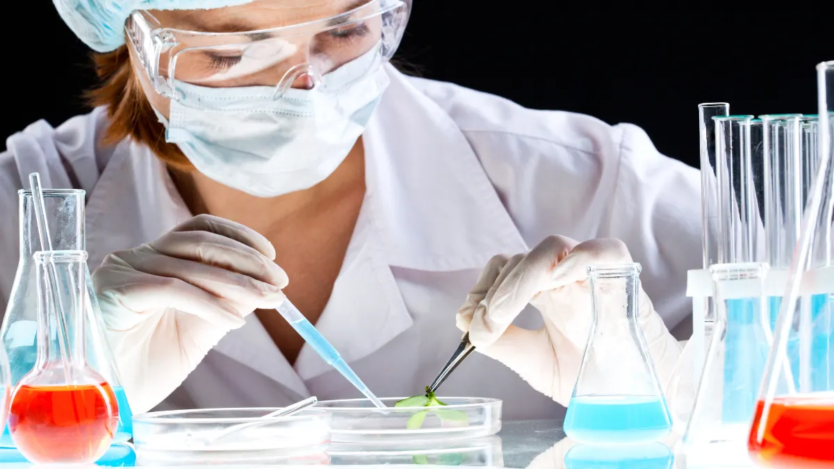 Perfil Bioquímico (4)